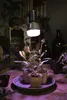OSRAM 4058075845800 Grow light E-27 20 W 1 pc(s) Anteprima dell’immagine prodotto 8
