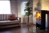 A living room scene with a sofa, guitar, plant, and a modern fireplace. Produktbild-Vorschau