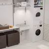QLS Lavello in plastica 50x34 cm con sifone Bianco Garage Anteprima dell’immagine prodotto 4
