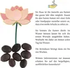 Lotus Samen winterhart (Nelumbo nucifera) - Indische Produktbild-Vorschau 6