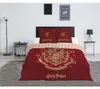 Set copripiumino e federa di Harry Potter 200x200 + 63x63 Anteprima dell’immagine prodotto 2