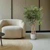 Strahlenaralie - Schefflera Arboricola Compacta - Produktbild-Vorschau 4