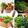 Herb Stripper aus Walnussholz – Kräutertrenner & Produktbild-Vorschau 6