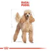 Royal Canin Poodle Adult, Dospělý jedinec, Pudl, Malý (5-10 Náhled obrázku produktu 4
