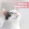 Felisept Augenpflege-Pads für Katzen 100 Stück Produktbild-Vorschau 4