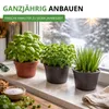 Kräutersamen Set - 10 Sorten Samen - Saatgut Sortiment - Produktbild-Vorschau 9