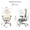 FLEXISPOT ErgoX Ergonomischer Bürostuhl mit Fußstütze, Produktbild-Vorschau 4