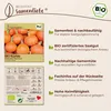 Samenliebe  Kürbis Samen | Red Kuri - nussiger - Produktbild-Vorschau 3
