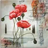 ARTland Leinwandbild Klatschmohn Größe: 30x30 cm Produktbild-Vorschau 1