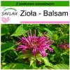 SAFLAX - Zioła - Balsam - 20 Nasiona - Z podłożem uprawowym Podgląd zdjęcia produktu 10