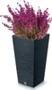 A tall, dark gray planter with a textured surface, filled with vibrant purple flowers. Náhľad obrázku produktu