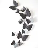 CHPN - Farfalle - Farfalle 3D - Set da 12 - Farfalle 3D Anteprima dell’immagine prodotto 1