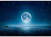 Selbstklebende Folie Fototapete - Moonlit night 441x315 cm Produktbild-Vorschau 5