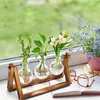 Pflanzenvasen, Terrarium-Stecklinge – Holzhalter mit Glas – Produktbild-Vorschau 4