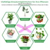 A collage of different plants and a grow light, illustrating various applications for plant growth. Produktbild-Vorschau
