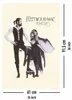 Fleetwood Mac Plakat Rumours Okładka LP 61 x 91,5 cm Podgląd zdjęcia produktu 4
