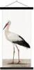 MuchoWow® Textilposter Storch - Vogel - Tiere - Jungen - Produktbild-Vorschau 1