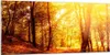 Bilder auf glas - Wald Baum Natur - 120x50cm - Glasbilder - Produktbild-Vorschau 1