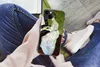 MuchoWow® Handyhülle Schutzhülle Hülle für iPhone 13 Produktbild-Vorschau 3