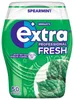 EXTRA PROFESSIONAL Fresh Dose Spearmint 50 drážok (1 dávka) Náhľad obrázku produktu 1