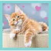 Trefl TREFL Puzzle 3 in 1 set Kittens Anteprima dell’immagine prodotto 3