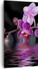 Bild auf Leinwand - Leinwandbild - Asien exotisch orchidee Produktbild-Vorschau 1