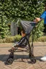 MamaLoes Milan Schwarz 1-Positionen-Buggy Produktbild-Vorschau 6