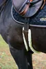 Kentucky Horsewear dlouhý anatomický podbřišník s umělou Náhled obrázku produktu 3