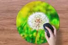 MuchoWow® Mauspad Mousepad Löwenzahn - Gras - Blume 50x50 Produktbild-Vorschau 3
