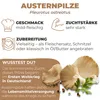 Hawlik Pilzbrut Austernpilzkultur groß – Pilzzucht Set, Produktbild-Vorschau 3