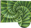DEQORI Hybrid Leinwand Bild 90x60 cm 'Alchemie der Aloe' Produktbild-Vorschau 1