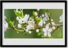 Bild 70x50 MDF-Rahmen Wandkunst Branchen Blumen Blätter Sad Produktbild-Vorschau 1