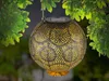 A decorative solar lantern hanging from a tree branch. Produktbild-Vorschau
