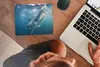 MuchoWow® Mauspad Mousepad Weißer Hai in der Nähe der Produktbild-Vorschau 3
