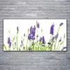 Acrylglasbilder 120x60 Wandbild Druck Blumen Pflanzen Produktbild-Vorschau 2