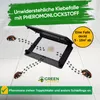 Teppichkäfer Falle mit Pheromonlockstoff, 1x Falle, Produktbild-Vorschau 6