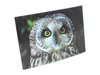 3 D Ansichtskarte Sumpfohreule,  Vögel Postkarte Produktbild-Vorschau 3