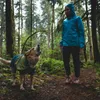 Ruffwear 0573, Pes, oblek, S, Modrá, Nylon, Jednofarebné Náhľad obrázku produktu 4