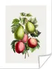MuchoWow® Poster Obst - Feigen - Lebensmittel 90x120 cm - Produktbild-Vorschau 1