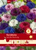 Artikelbild 1 von 'Kornblume Gefüllte Mischung' aus der Kategorie Kornblumensamen Produktbild-Vorschau