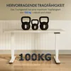 FlexiSpot höhenverstellbarer Schreibtisch elektrisch Produktbild-Vorschau 4