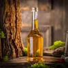 KADAX Bouteilles à liqueur 500ml, 50 pièces, Bouteilles Voir les images du produit 3