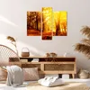 Bild auf Leinwand - Leinwandbild - Wald Baum Natur - Produktbild-Vorschau 7