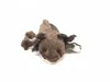 Cornelissen - Kuscheltier - Axolotl natur Produktbild-Vorschau 3