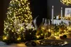 Twinkly TWS250GOP-BEU, 250 lamp, LED, Teplá bílá, 30000 h, Náhled obrázku produktu 16