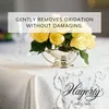 Hagerty Silver Care Čisticí a Polotvažná Mícha 185 g Náhled obrázku produktu 6