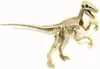 Galileo Ausgrabungsset Velociraptor nachtleuchtend Produktbild-Vorschau 4