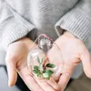 Sklenená guľa číra so širším hrdlom „Do it yourself“ Náhľad obrázku produktu 2