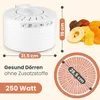 Sušička potravín Clatronic DR 2751 250 W Náhľad obrázku produktu 11