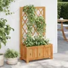 vidaXL Parterre de jardin surélevé avec treillis Bois Voir les images du produit 1